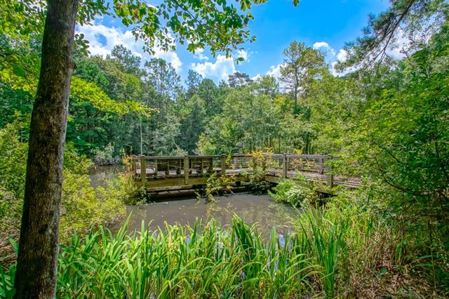 78656 Turnpike Road Folsom, LA 70437 - Photo 47 of 57