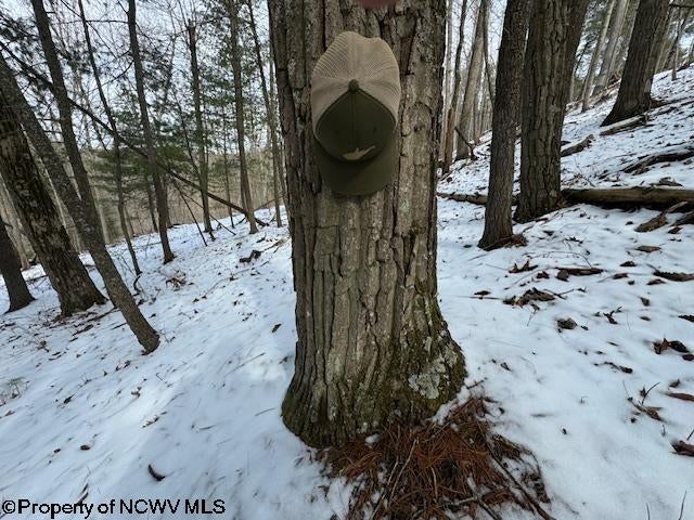 1 Spruce Run Poca, WV 25159 - Photo 8 of 38 Gallery Image 8