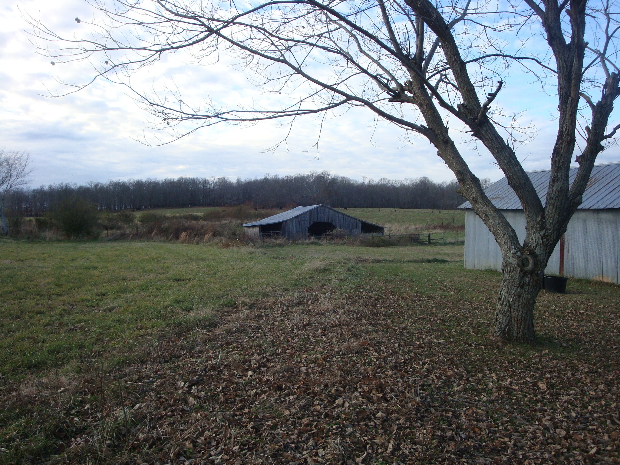55 Kelso Road Lawrenceburg, TN 38464 - Photo 7 of 22 Gallery Image 7