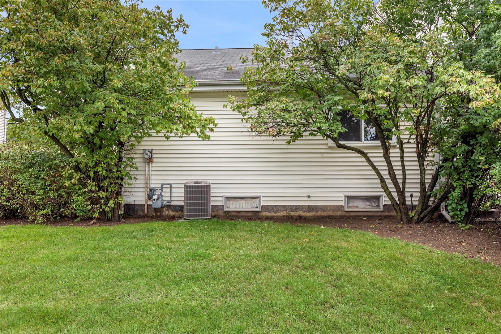 465 Mallview Lane Bolingbrook, IL 60440 - Photo 21 of 26 a view of a backyard with plants and large trees