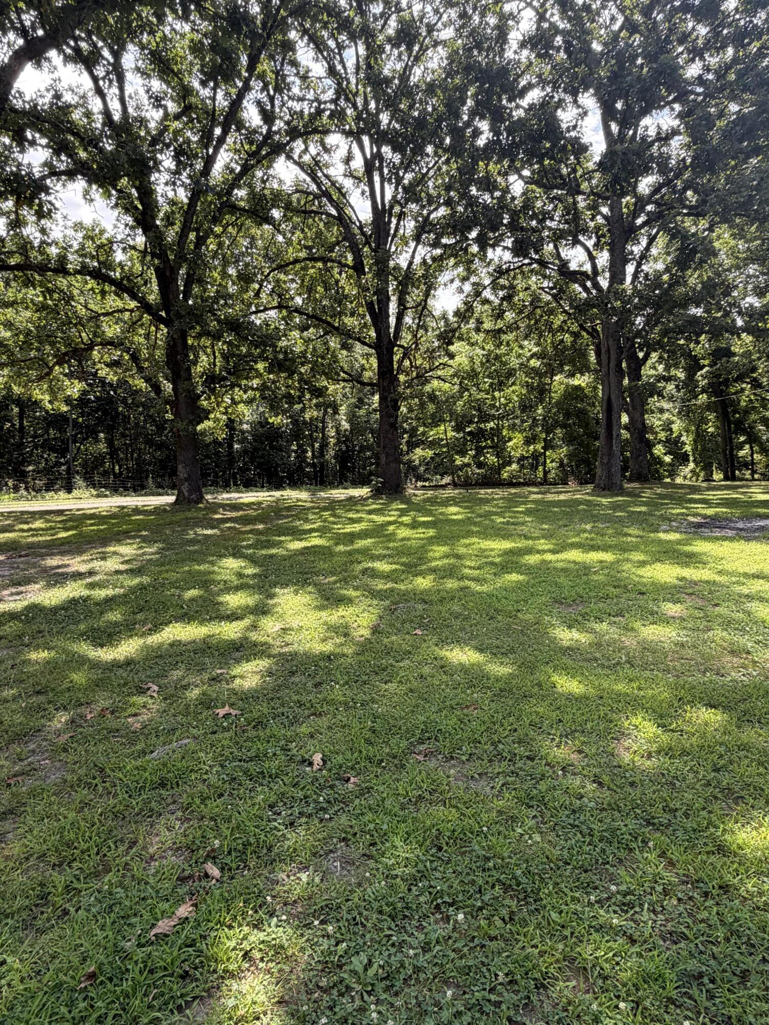 207 Woodmist Road Galena, MO 65656 - Photo 28 of 32 IMG_1423