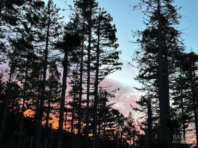 135 Larkspur Close The Sea Ranch, CA 95497 - Photo 34 of 37