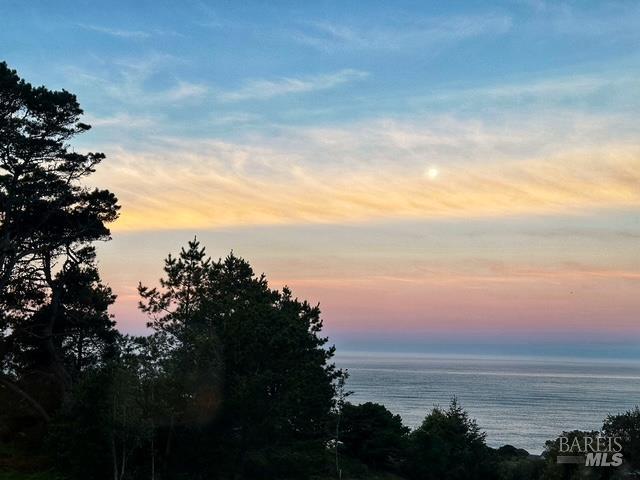 135 Larkspur Close The Sea Ranch, CA 95497 - Photo 35 of 37