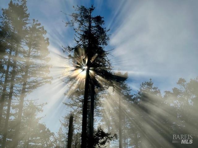 135 Larkspur Close The Sea Ranch, CA 95497 - Photo 36 of 37