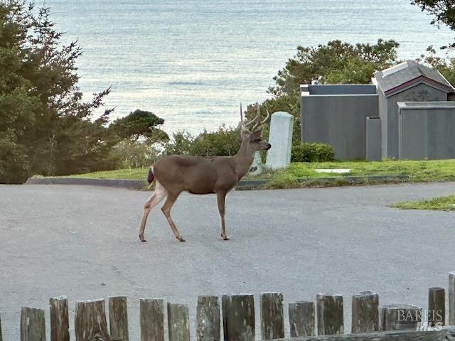 135 Larkspur Close The Sea Ranch, CA 95497 - Photo 37 of 37