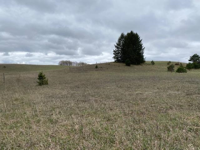 V/l Clous Road Kingsley, MI 49649 - Photo 16 of 17