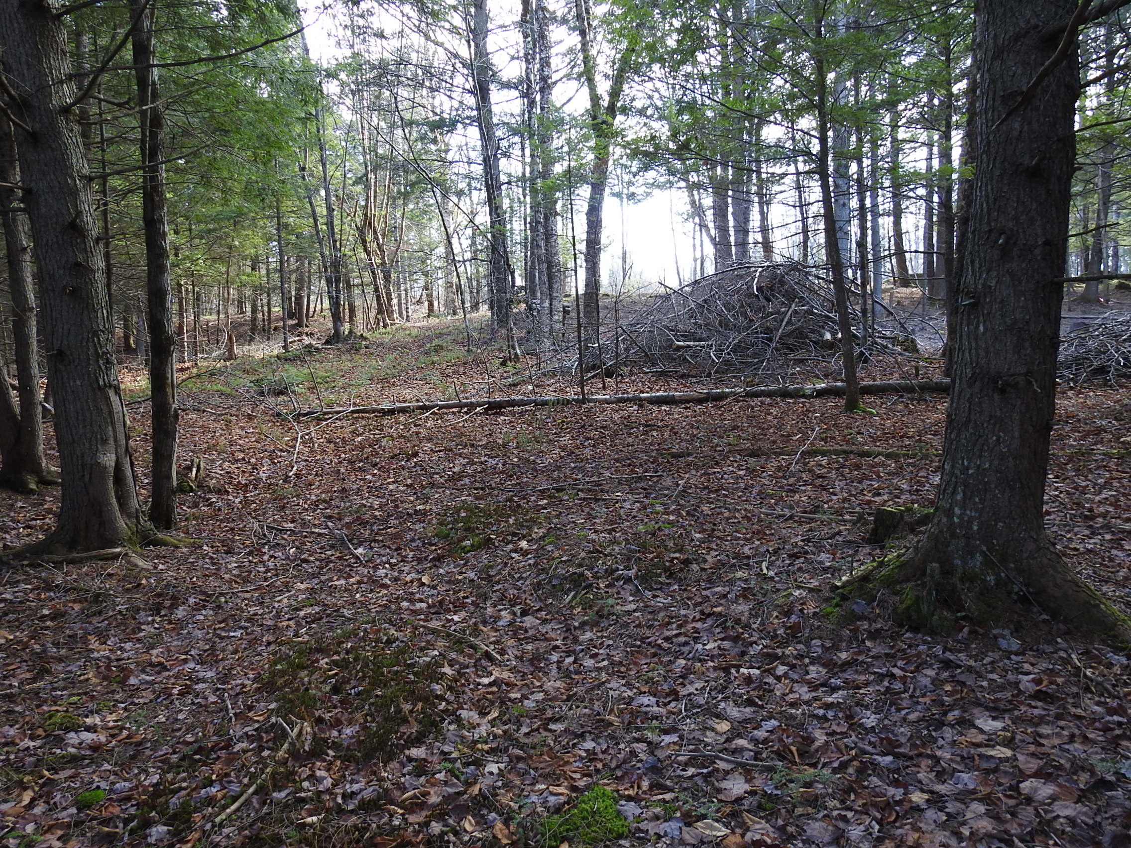 15 Roy Road West Paris, ME 04289 - Photo 12 of 27 DSCN4378