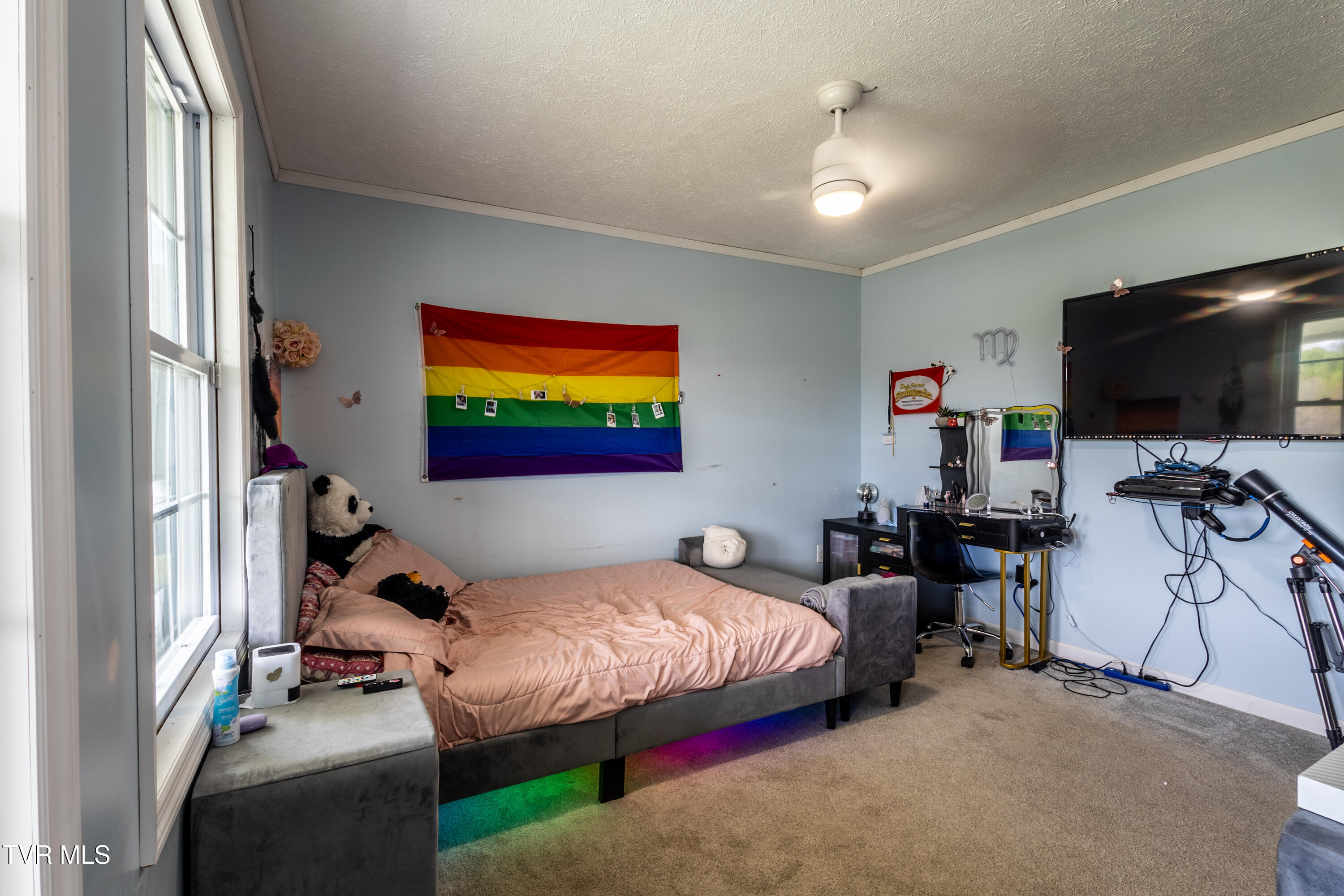 156 Bill Garland Road Johnson City, TN 37604 - Photo 8 of 28 IMG_1234-HDR