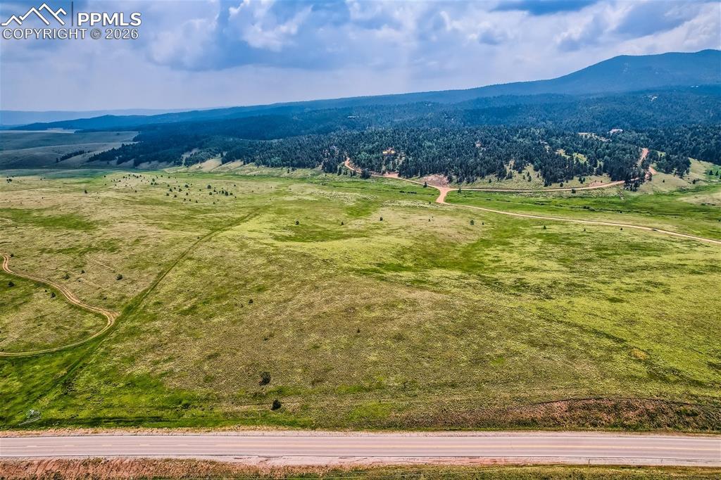 4600 Elk Valley Road Divide, CO 80814 - Photo 11 of 14 a view of a yard with an ocean