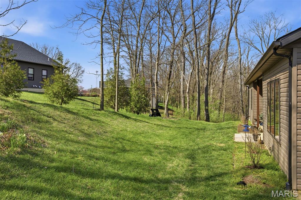 135 Independence Drive Highland, IL 62249 - Photo 10 of 11