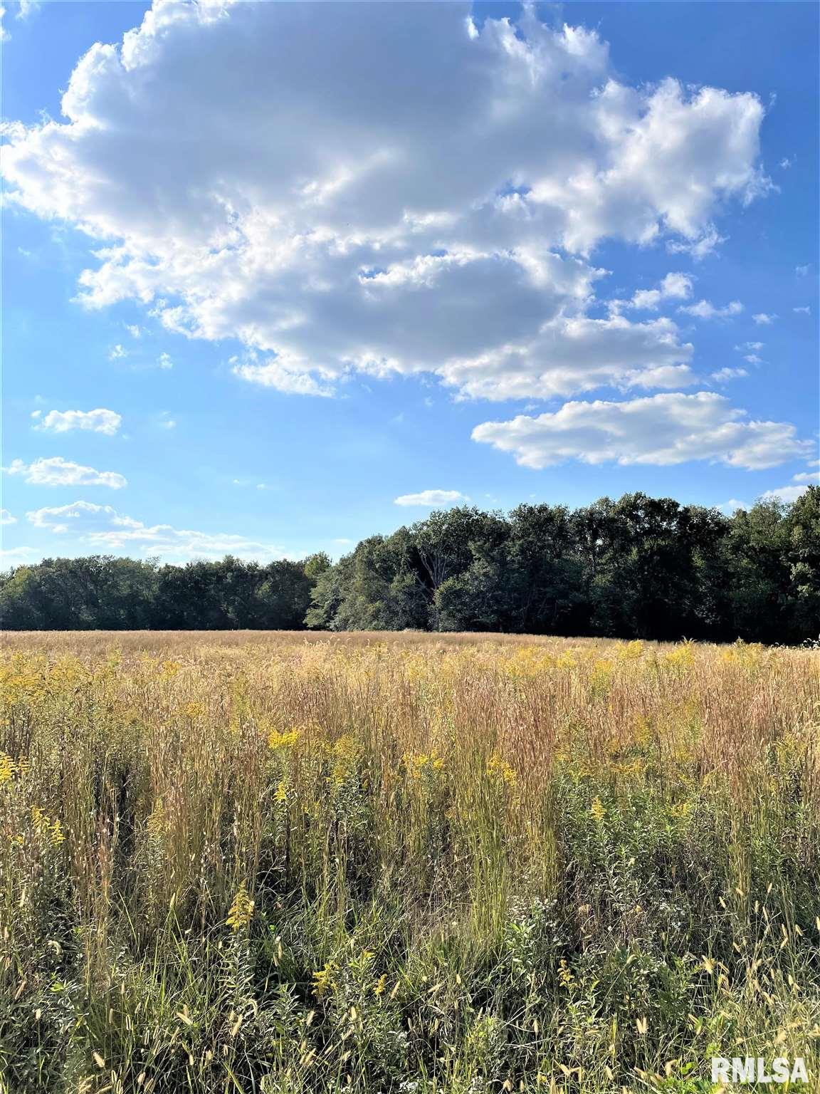 0 Big Pond Road Royalton, IL 62983 - Photo 1 of 4