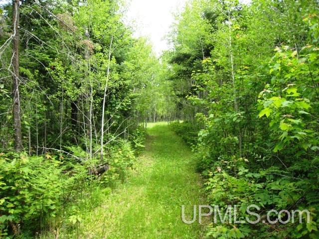 10 Saa Cornell, MI 49818 - Photo 12 of 20