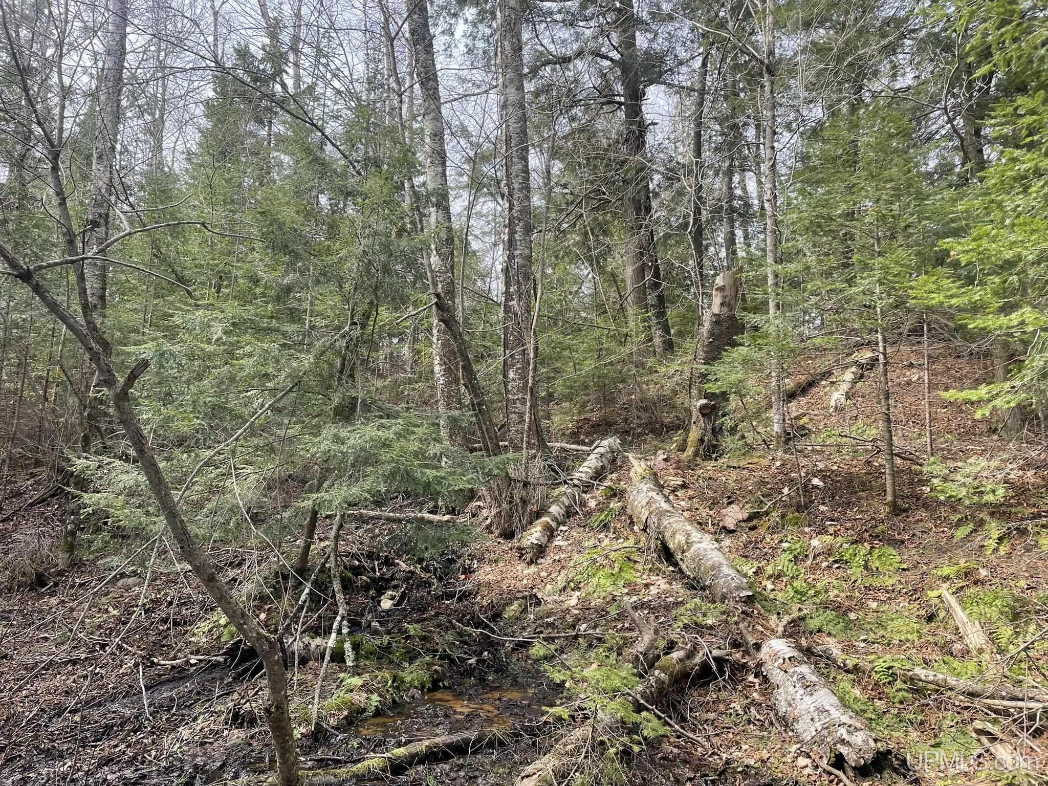 Tbd Peninsula Acres Road Manistique, MI 49854 - Photo 32 of 33