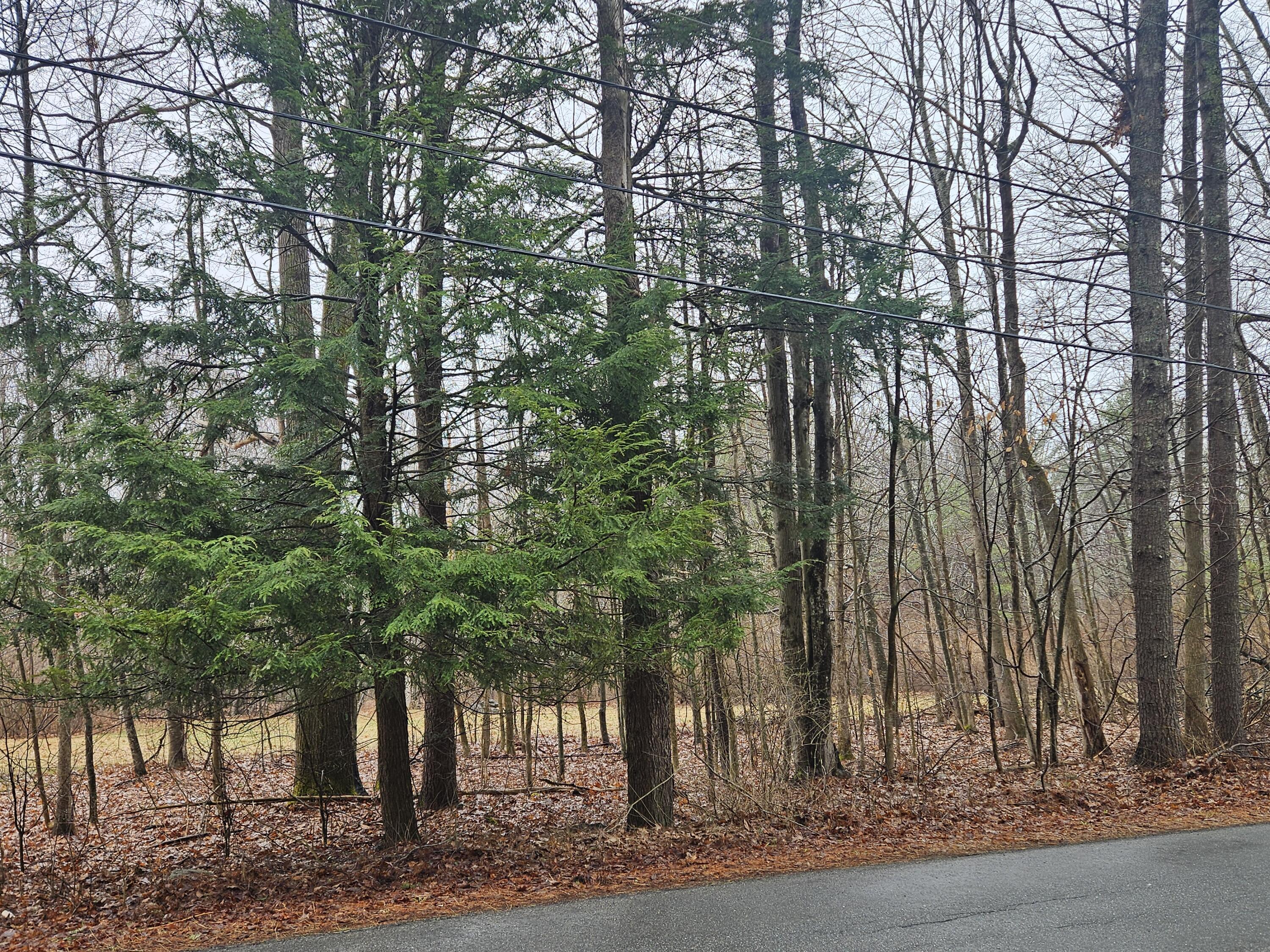 9 Mudget Hill Road Vassalboro, ME 04989 - Photo 4 of 11 Land