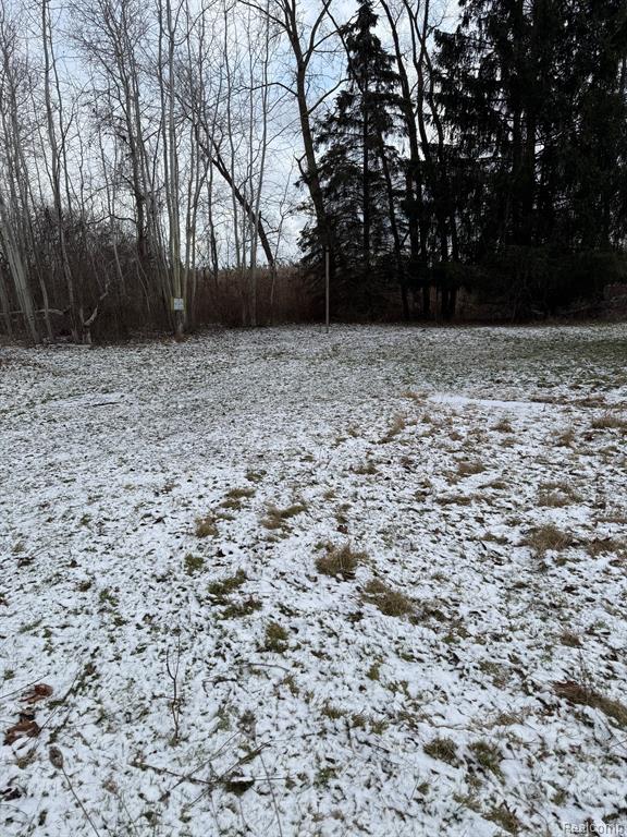 3865 Wills Road Croswell, MI 48422 - Photo 19 of 28