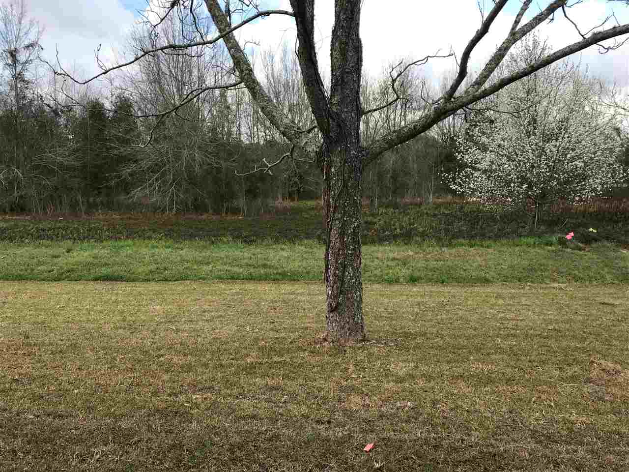 1623 Abbey Loop Foley, AL 36535 - Photo 14 of 14