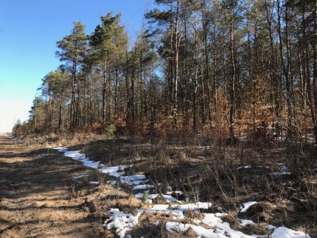 0 Litzen Road Mesick, MI 49668 - Photo 1 of 14 IMG_1311