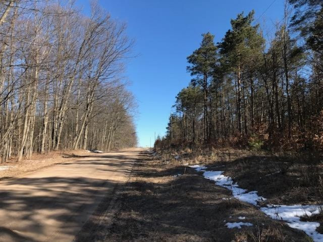 0 Litzen Road Mesick, MI 49668 - Photo 11 of 14 IMG_1322