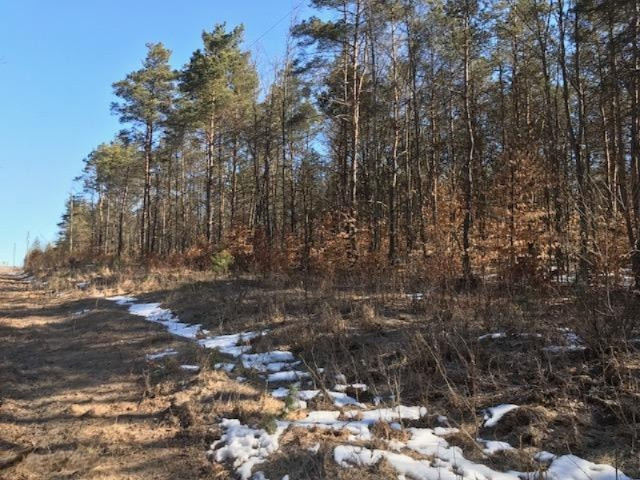 0 Litzen Road Mesick, MI 49668 - Photo 2 of 14 IMG_1312