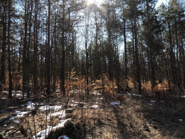 0 Litzen Road Mesick, MI 49668 - Photo 3 of 14 IMG_1313