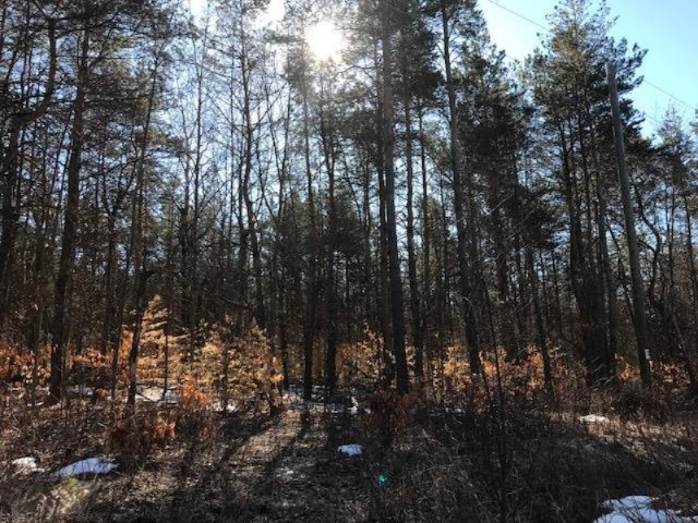 0 Litzen Road Mesick, MI 49668 - Photo 5 of 14 IMG_1314