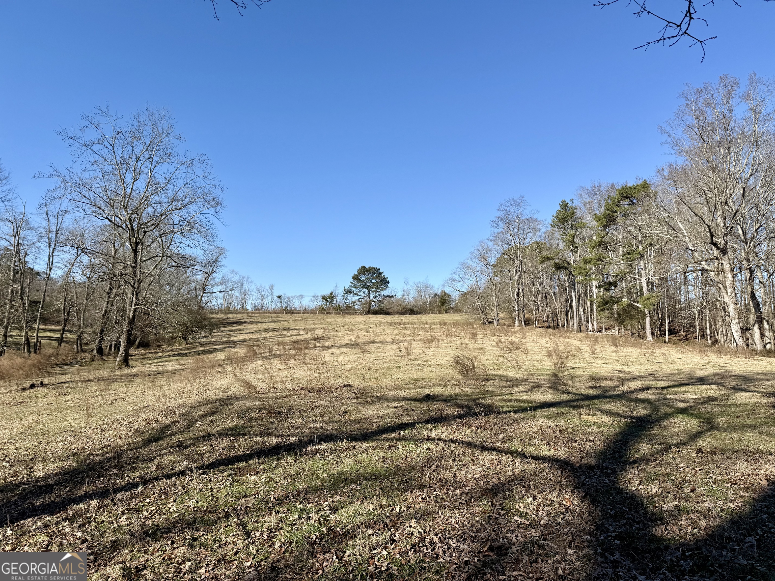 0 Kansas-jake Road Waco, GA 30182 - Photo 5 of 37