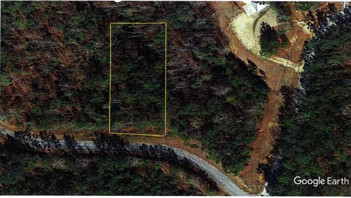 0 Lakeview Street Abbeville, AL 36310 - Photo 1 of 2