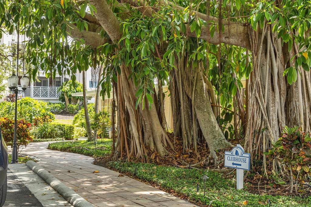 11000 Placida Road, Unit 1603 Placida, FL 33946 - Photo 33 of 34 a backyard of a house with a fountain and plants