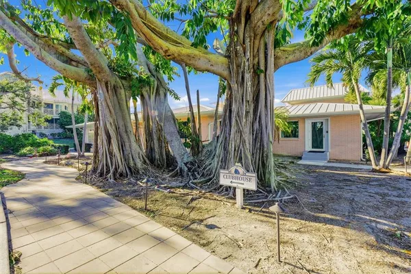 a view of a house with a tree