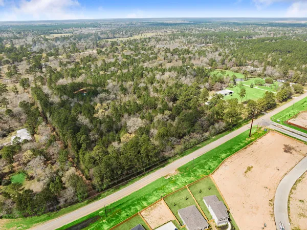 a view of a city from a yard