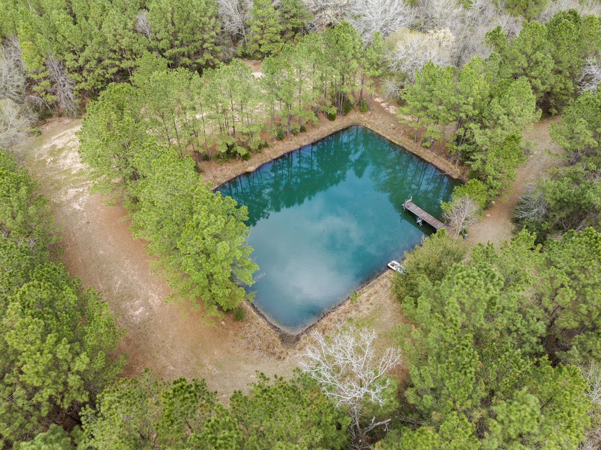 26136 Joseph Road Hockley, TX 77447 - Photo 8 of 31 This aerial view showcases a serene, tree-surrounded pond with clear blue water and a small dock, offering a tranquil retreat in a natural setting.