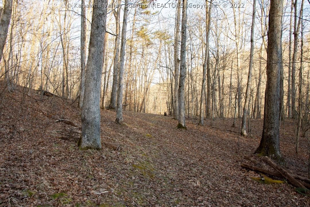 0 Midway Road Alum Creek, WV 25003 - Photo 6 of 7 Gallery Image 6