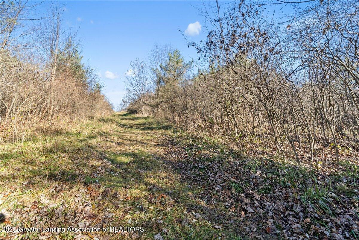 3294 Green Road St. Johns, MI 48879 - Photo 55 of 60 Trails
