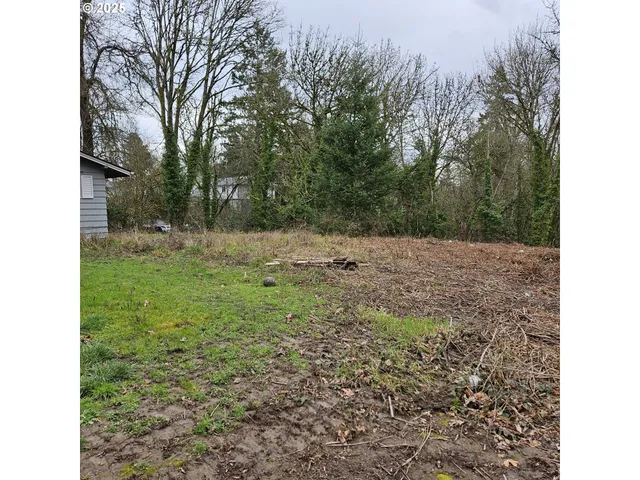 a view of a yard with a tree