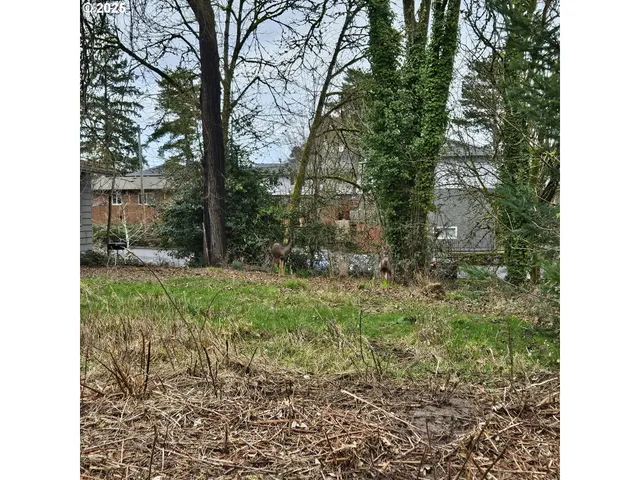 a view of a yard with plants and large trees