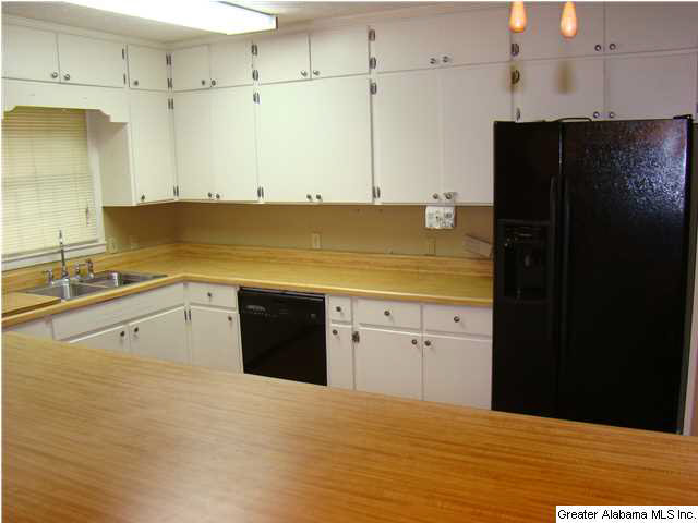 249 Center Hill Road Sylacauga, AL 35150 - Photo 6 of 20