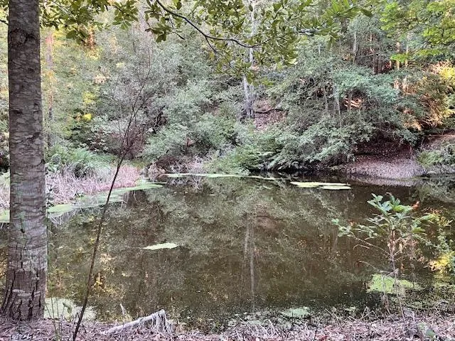 $599,000 | 0 Love Creek Road, Ben Lomond, CA 95005