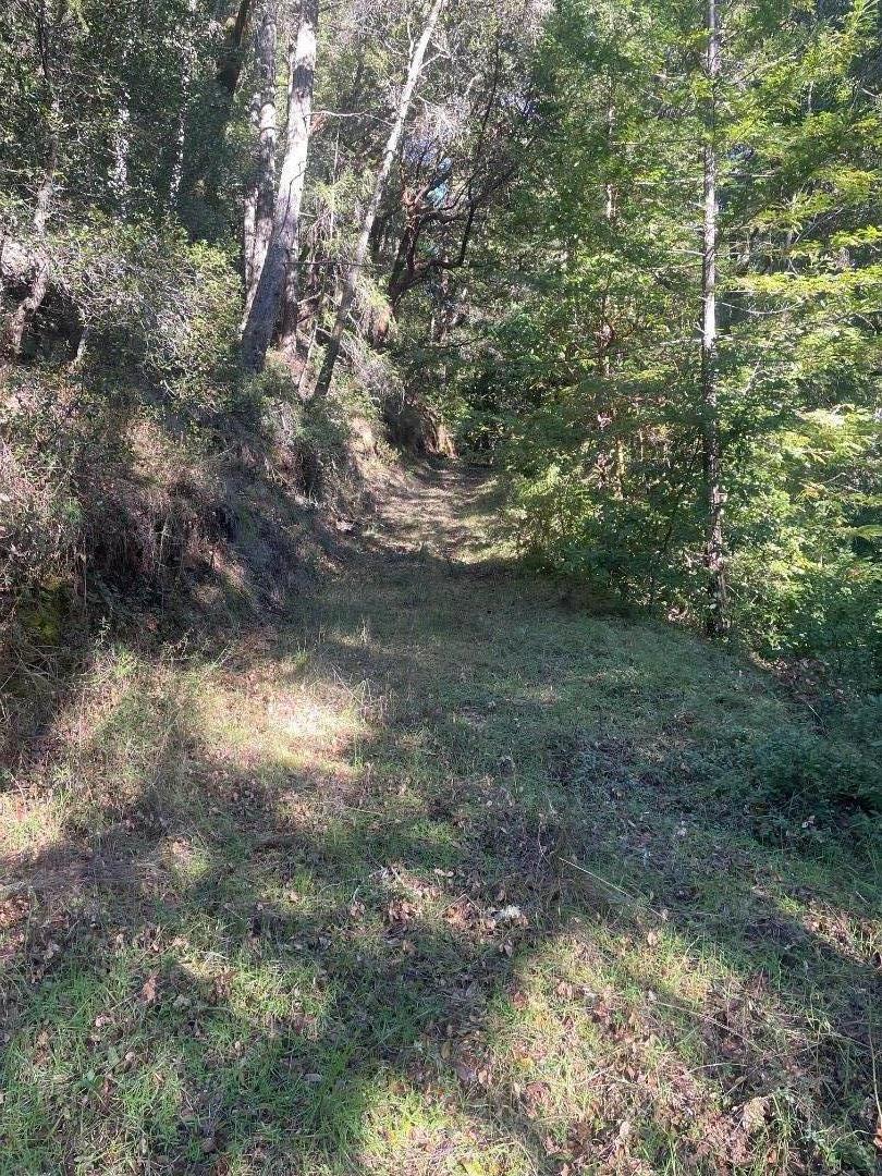 0 Love Creek Road Ben Lomond, CA 95005 - Photo 11 of 17