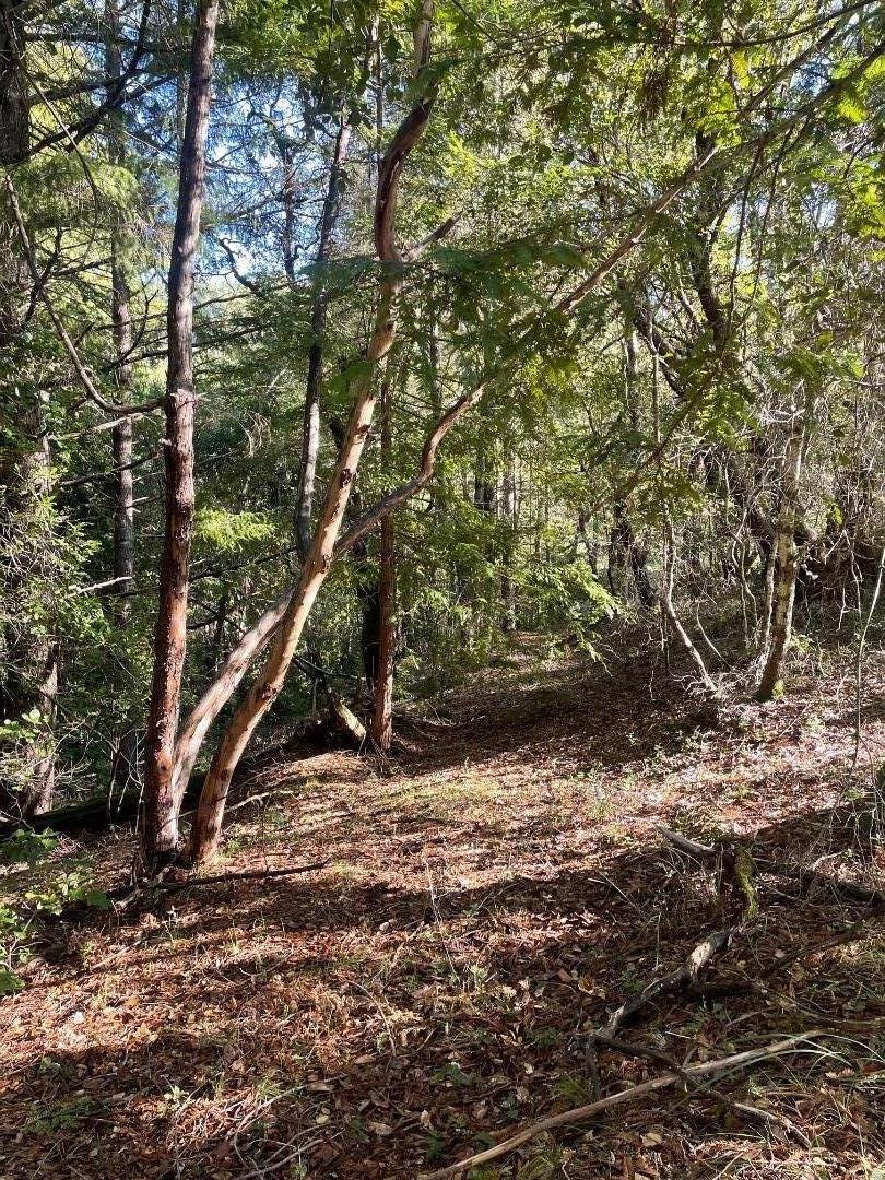 0 Love Creek Road Ben Lomond, CA 95005 - Photo 12 of 17