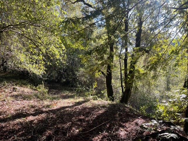 0 Love Creek Road Ben Lomond, CA 95005 - Photo 13 of 17