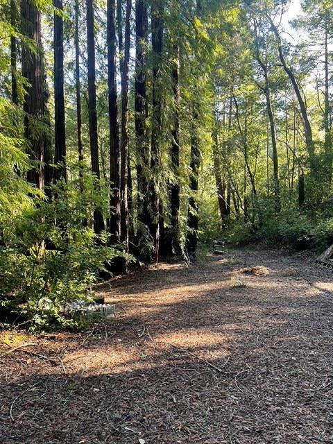 0 Love Creek Road Ben Lomond, CA 95005 - Photo 14 of 17