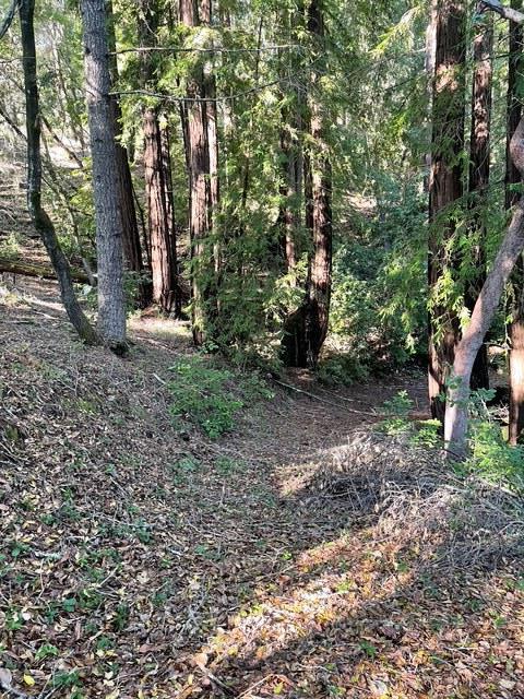 0 Love Creek Road Ben Lomond, CA 95005 - Photo 15 of 17