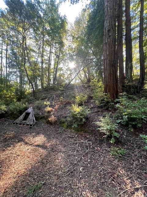 0 Love Creek Road Ben Lomond, CA 95005 - Photo 17 of 17