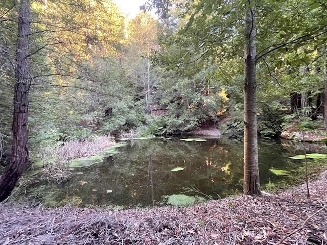 0 Love Creek Road Ben Lomond, CA 95005 - Photo 2 of 17