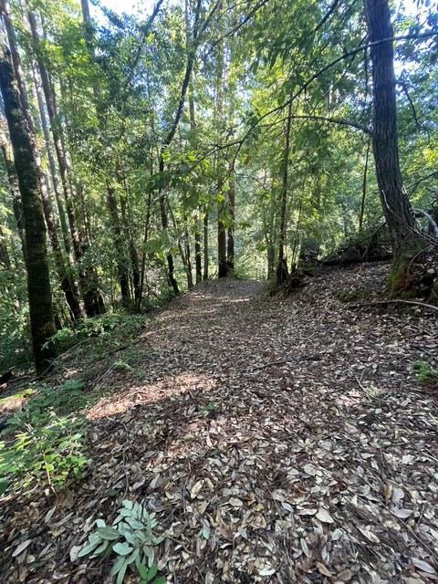 0 Love Creek Road Ben Lomond, CA 95005 - Photo 3 of 17