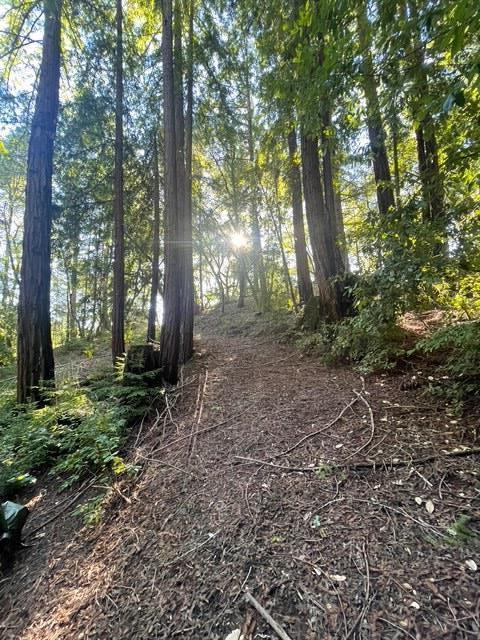 0 Love Creek Road Ben Lomond, CA 95005 - Photo 4 of 17