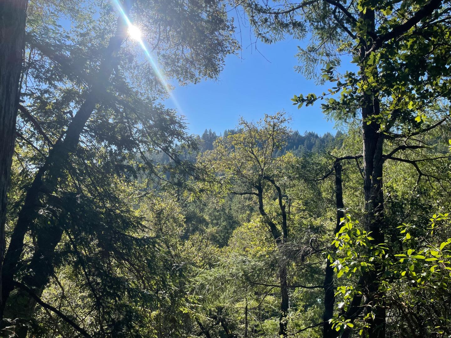 0 Love Creek Road Ben Lomond, CA 95005 - Photo 5 of 17