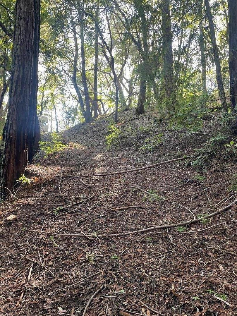 0 Love Creek Road Ben Lomond, CA 95005 - Photo 8 of 17