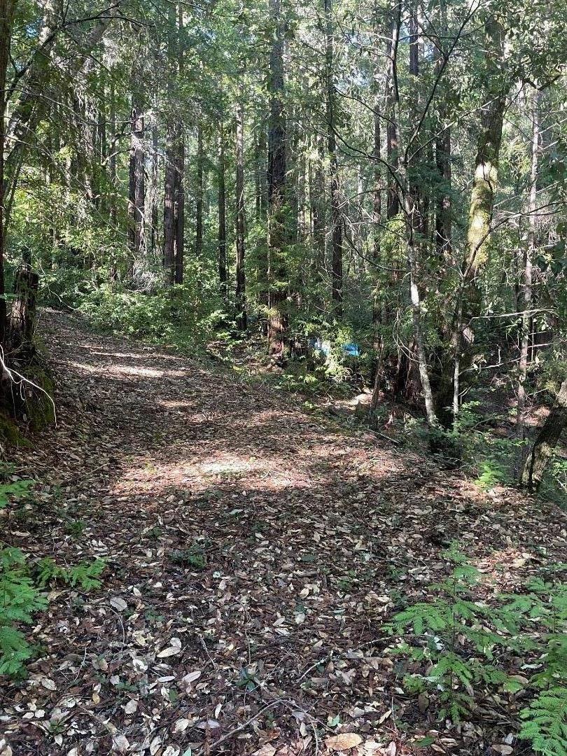 0 Love Creek Road Ben Lomond, CA 95005 - Photo 9 of 17