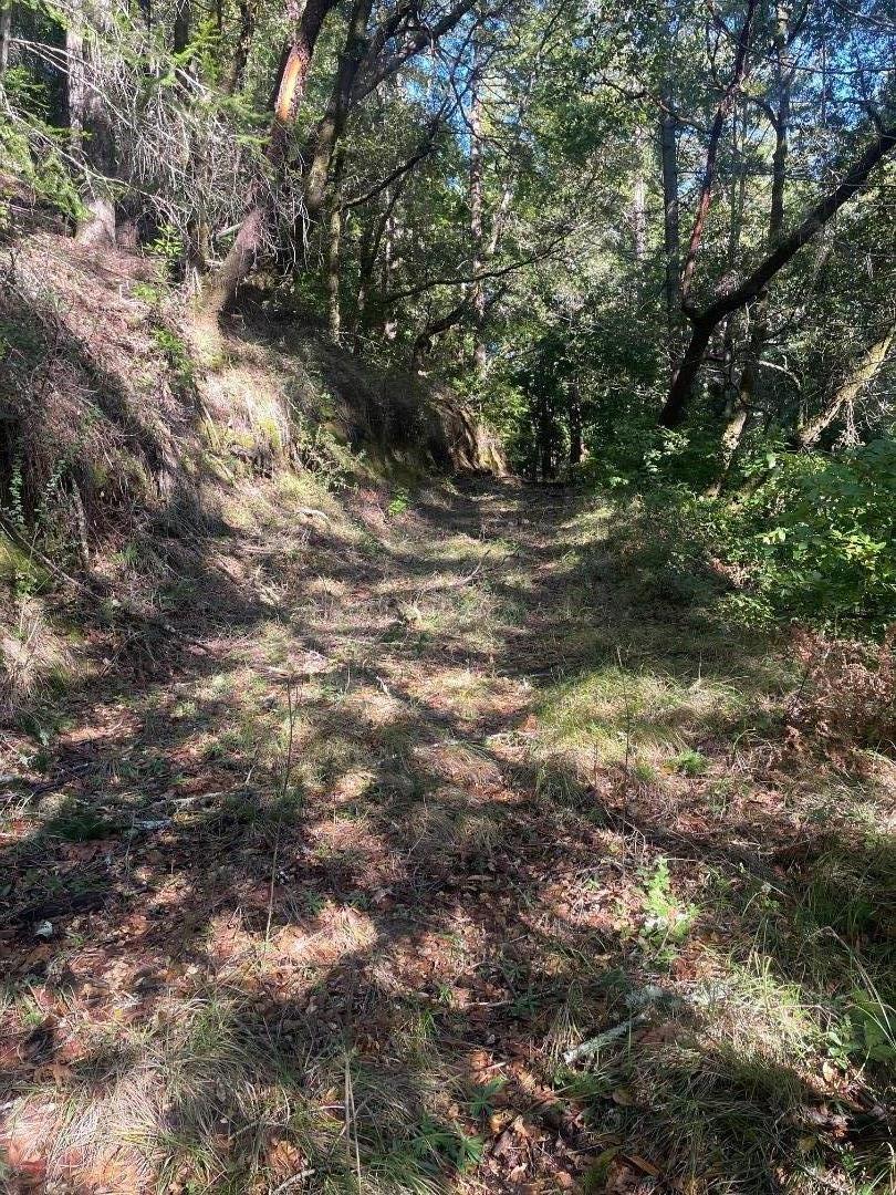 0 Love Creek Road Ben Lomond, CA 95005 - Photo 10 of 17